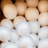 Polystyrene Balls