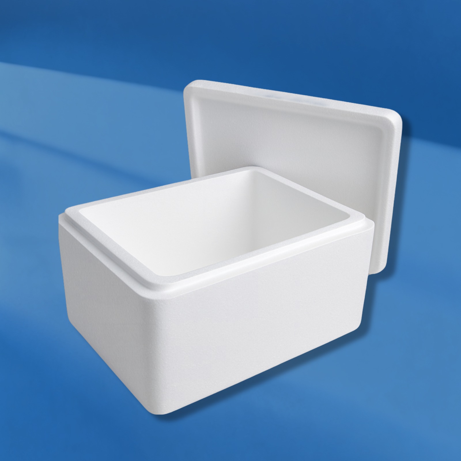 EPS 2KG, 3KG, 5KG Meat Boxes